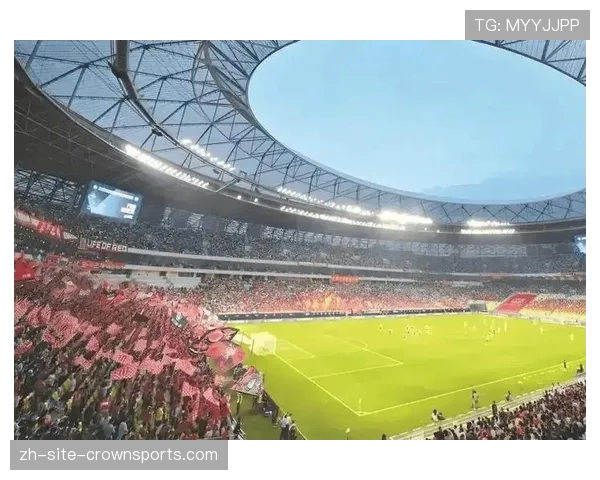 武汉加速体育场升级改造 全力打造亚冠赛事高标准球场